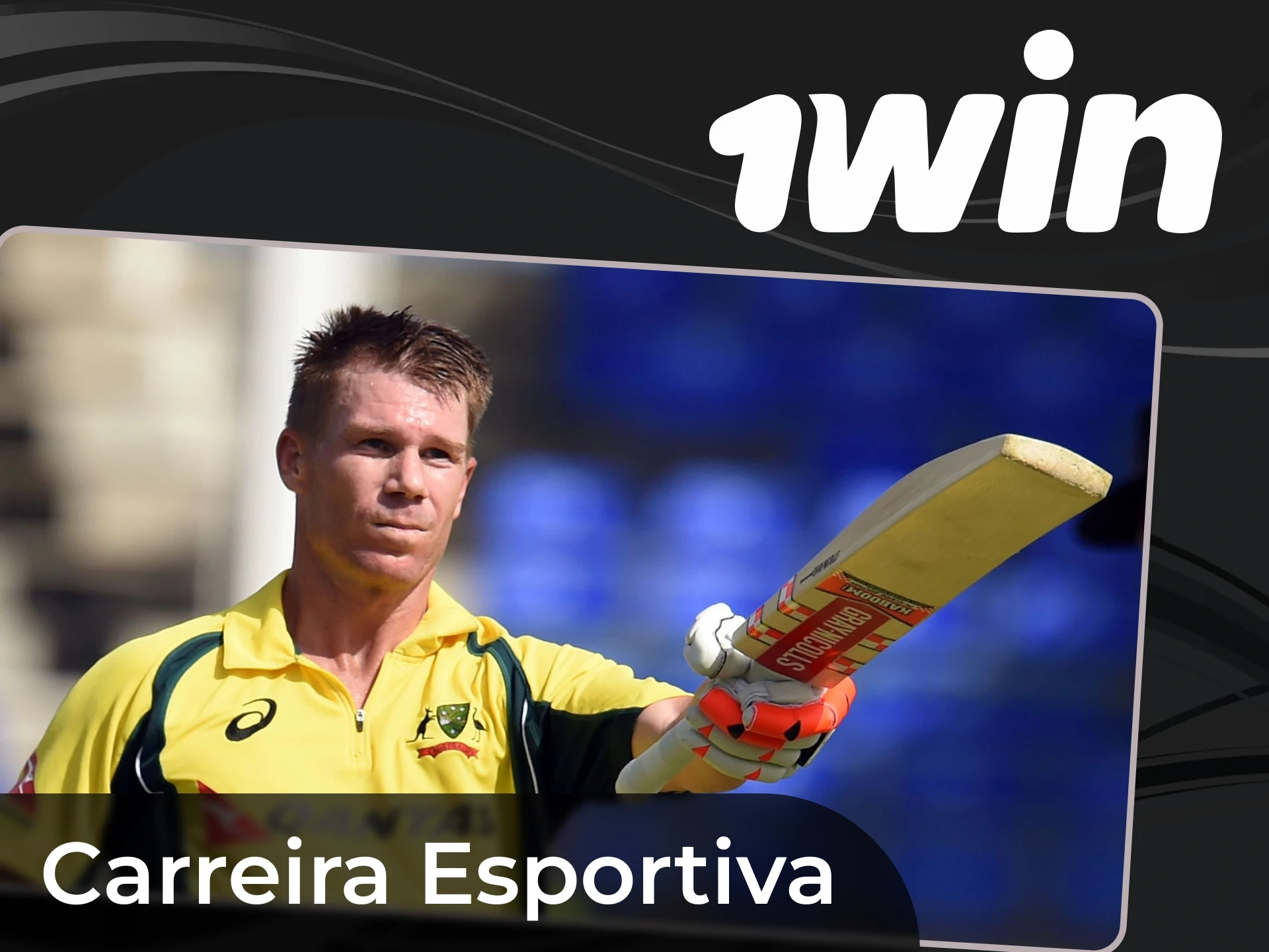 Sobre a carreira profissional de Warner como jogador de críquete.